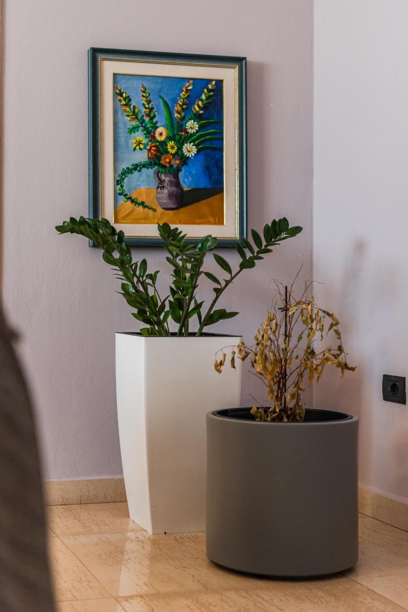 Main Square Apartment Durres Bagian luar foto